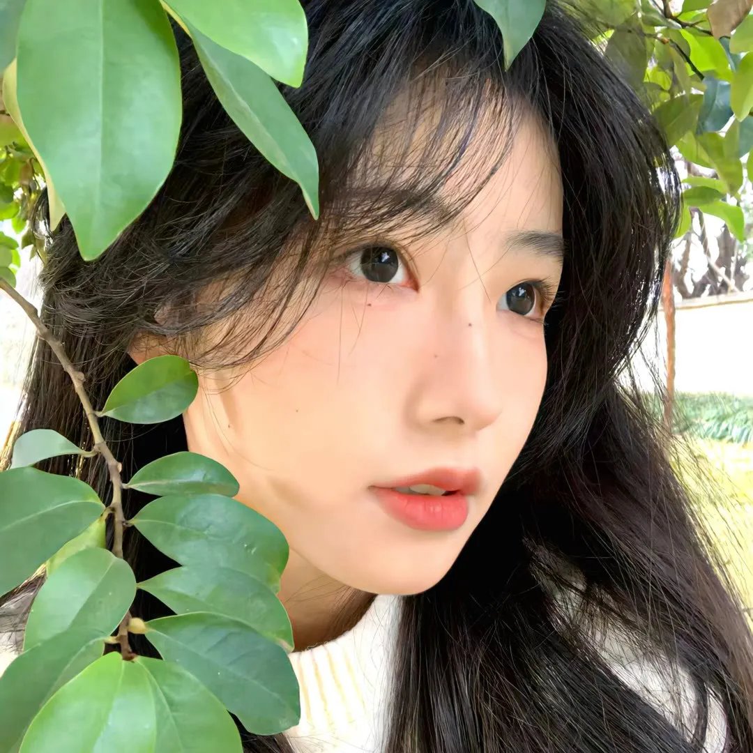 吉娜的肖像